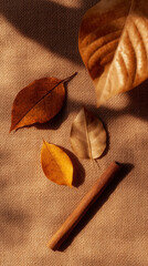 Flat lay with fallen leaves and cinnamon stick. Autumnal tones like burnt orange, deep olive, warm brown background. Vertical flatlay. Social media background or color therapy concept.