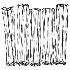 cinnamon sticks line art aromatic sticks perfect for baking