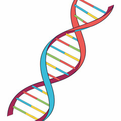 Colorful D N A helix illustration with bright gradient science biology