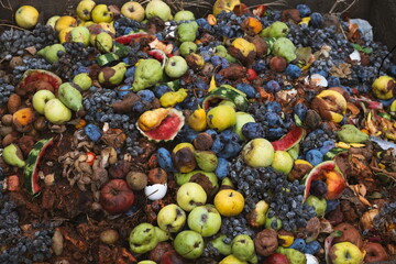Domestic organic waste for compost from fruits and vegetables. Organic recycling food waste. Eco-Friendly Composting