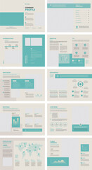 Company Profile