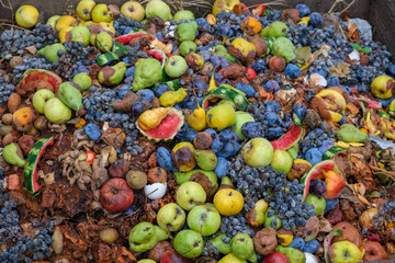 Domestic organic waste for compost from fruits and vegetables. Organic recycling food waste. Eco-Friendly Composting