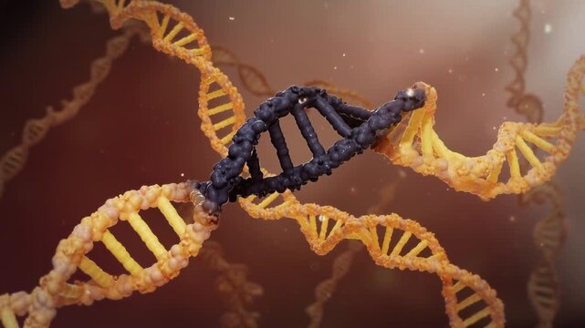 Gene chain mutations cause tumor cells to proliferate and release tumor antigen peptides,Mutated DNA and molecules scientific biotechnology.