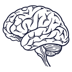 Dark blue brain outline symbol human brain anatomy