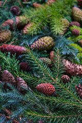 Pine Cones and Evergreen Branches Winter Christmas Background for Festive Projects
