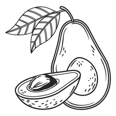 Fresh avocado halves with leaves fruit healthy