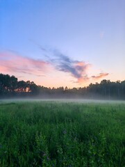 Beautiful summer landscape and peaceful view in the rainy season. vast green fields stretch out in front of us. evening, covered with thick fog