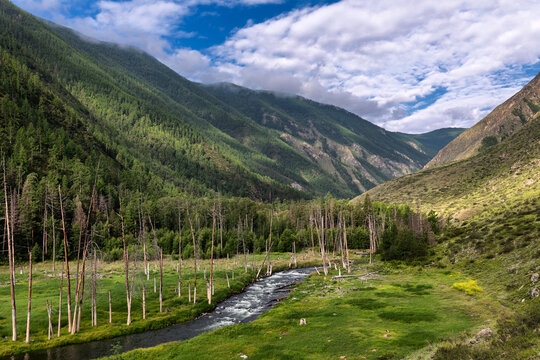 View of a winding river snaking through a vibrant valley embraced by verdant mountains under a sky brushed with clouds, Sayan Mountain, Russia.