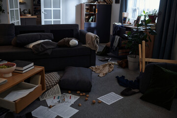 Messy living room showing scattered pillows, books, papers, walnuts, and clothing on floor and furniture, sunlight entering through window, modern home interior appearing untidy after invasion