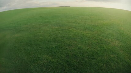 Obraz premium Lush green rolling hilltop with soft sky above isolated on white background