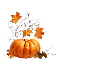 Ripe pumpkin, mushrooms and autumn orange maple leaves in a corner arrangement isolated on white or transparent background