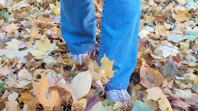 Enjoying autumn by kicking through colorful fallen leaves in a serene outdoor setting