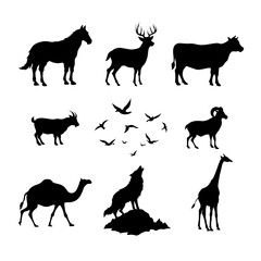 Flat vector animal icon set for UI, UX, web, wildlife theme projects