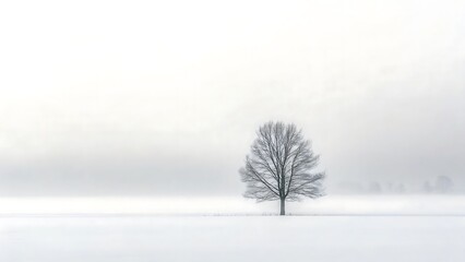 A solitary bare tree stands in a vast snow covered field under a bright overcast winter sky