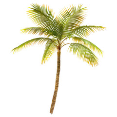 Fototapeta premium Tropical palm tree, vibrant green and yellow fronds