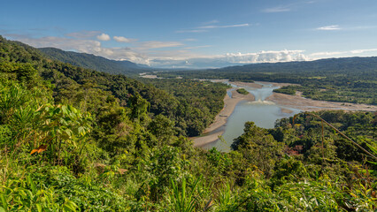 tropical rainforest view from the river Peru.
