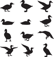 set of ducks silhouettes 100% fully editable vector file.