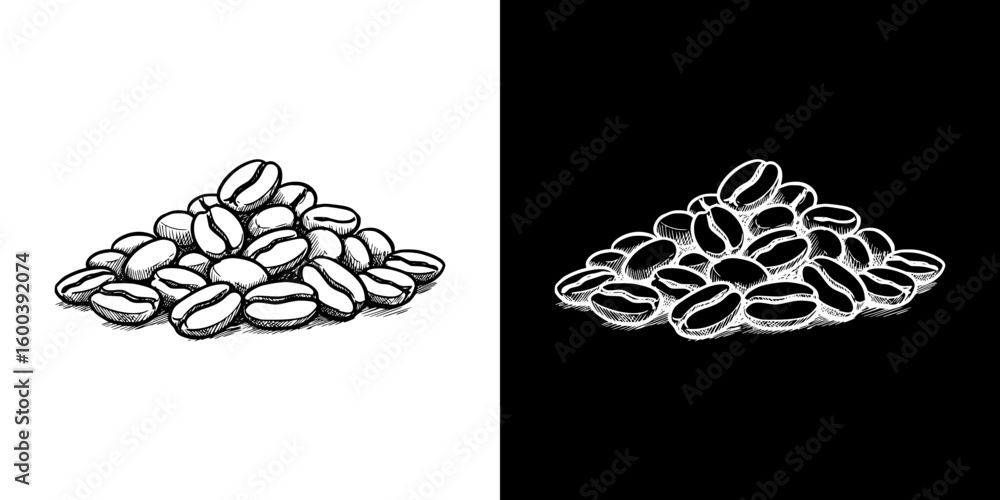 Poster coffee beans illustration in chalk drawing style, isolated vector image in two design variants - on 