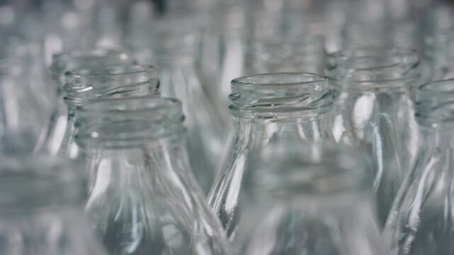 Numerous empty glass bottles stand on a conveyor belt, awaiting filling in a dairy or beverage production facility, showcasing the scale of industrial food processing