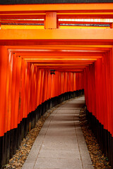 Traditional torii gates path at Fushimi Inari shrine in Kyoto