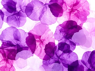 Overlapping transparent flower petals in shades of purple and pink