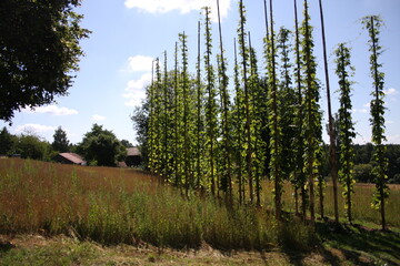 freilandmuseum oberpfalz