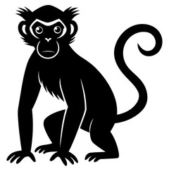 Cute monkey sitting with curly tail vector illustration silhouette