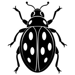 Ladybug Insect with Spots Black and White Silhouette