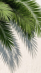 Tropical palm leaves with shadows, aesthetic background, modern design,mobile wallpaper