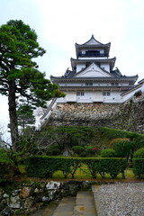 Obraz premium Burg Kochi, Kōchi, Shikoku, Japan, Architektur, Geschichte, Bauwerk, Samurai, historisch, Festung