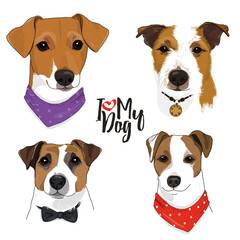 Hand-drawn set with cute Jack Russell Terrier dogs with bandanas around their necks in sketch style.