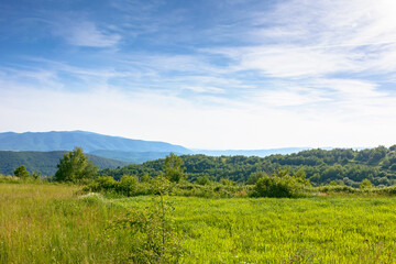 Fototapeta premium field in the mountain landscape in summer. beautiful view of green carpathian alps under blue sky at sunset. picturesque countryside scenery with rolling hills and meadows
