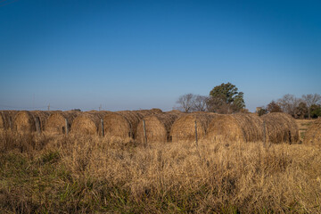 View of hay bales in the field