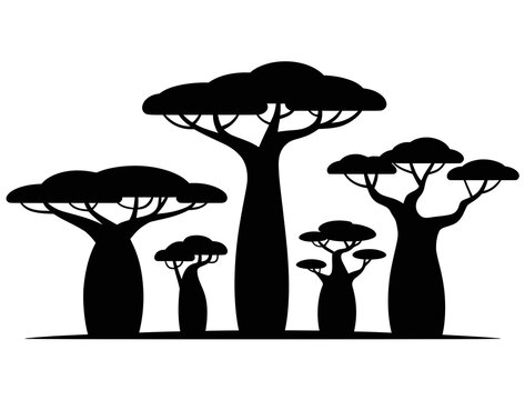 Silhouette of baobab trees vector illustration african landscape design