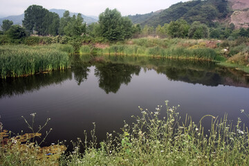 Serene Pond Reflecting Lush Trees and Rolling Hills