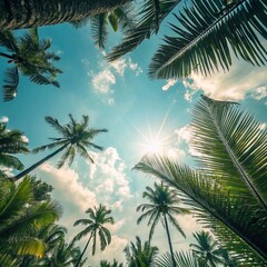 Looking Up Through Tropical Palm Leaves Towards A Bright Sunlit Sky On A Clear Day