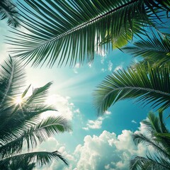 Looking Up Through Tropical Palm Leaves Towards A Bright Sunlit Sky On A Clear Day