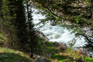 Ala-Archa Park, Rushing mountain Swiftwater stream, by dense evergreen forest, mossy rocks and...