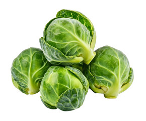 Fototapeta premium Freshly harvested Brussels sprouts in a close-up, showcasing its vibrant color, isolated on transparent background.