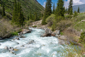 Ala-Archa Park, Rushing mountain whitewater stream. Coniferous forest, rugged terrain, boulders,...