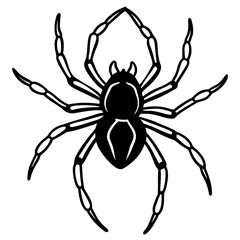 Spider crawling line art vector illustration 
