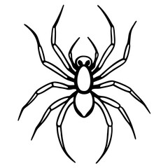 Spider crawling line art vector illustration 