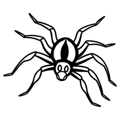 Spider crawling line art vector illustration 