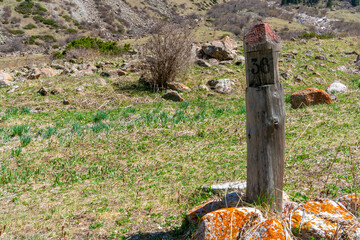 Ala-Archa Park, Wooden milestone, milepost trail post with number stands among green grass,...