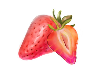 Strawberry watercolor hand-drawn illustration with strawberry slice drawing isolated on transparent background png file