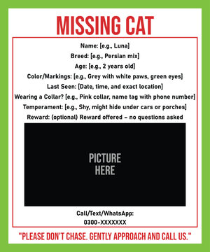 missing cat poster