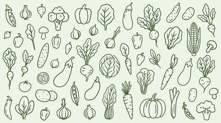 Hand drawn doodle veggies set. Vector sketch on soft background.