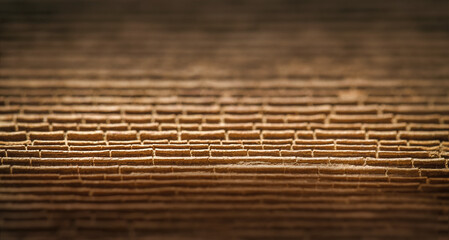 macrophotography of the texture of an old tree with cracked fibers