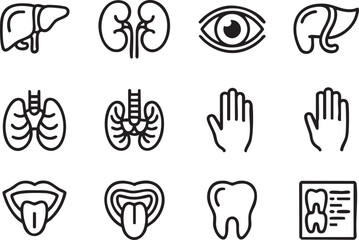 Obraz premium Collection of Human Body Parts in Outline Style including Kidneys Eye Thyroid Hand Tongue Ear Tooth and Intestine for Medical or Educational Purposes