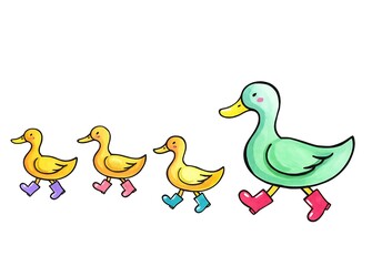 Fototapeta premium Charming watercolor illustration of a family of adorable ducks waddling in a neat line, each wearing tiny, colorful rain boots, set against a clean white background.